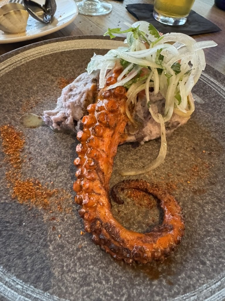 Grilled octopus tentacle over refried beans with shaved fennel and cilantro
